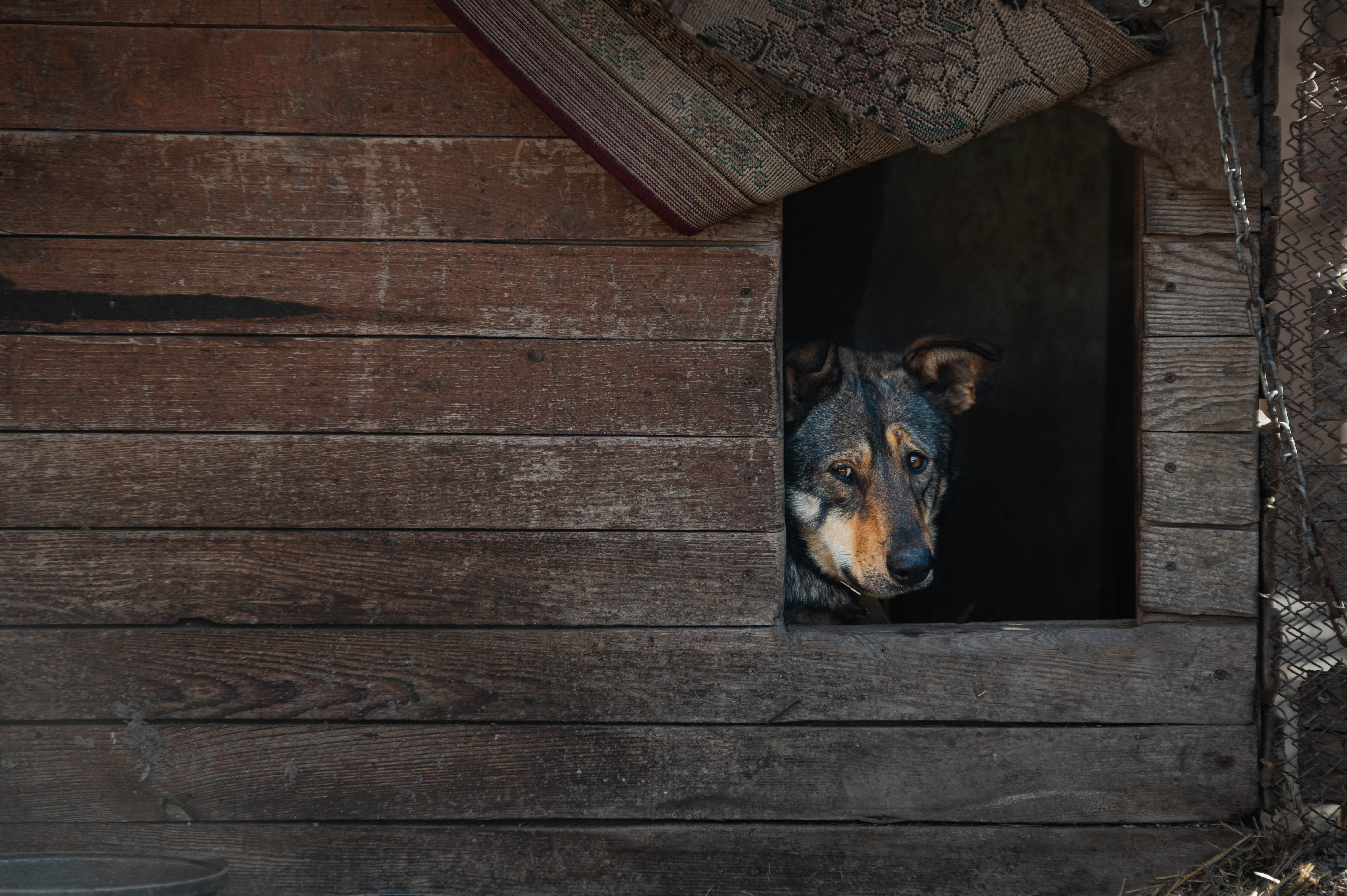 СТАРТ АКЦИИ «НАЙДИ СВОЕГО КОСМОНАВТА»