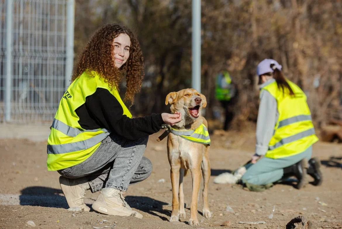 Проект приюта для животных «Джульбарс» стал победителем конкурса «Хорошие дела» от Уральской Стали